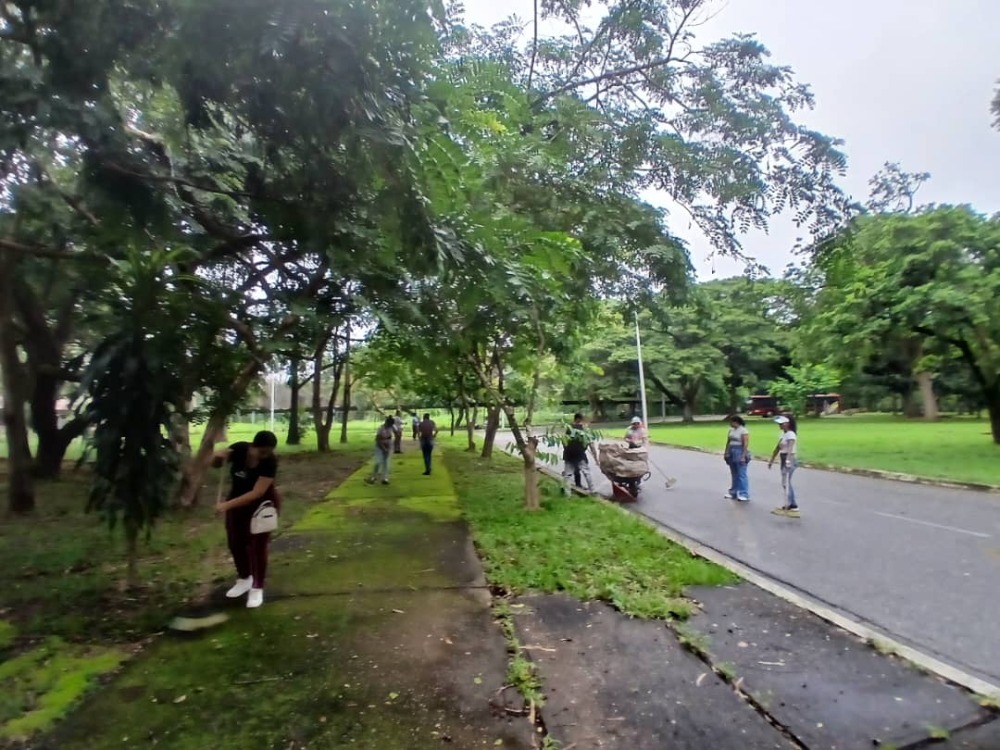  VIPI: Reforestación y limpieza en pro de la seguridad del campus universitario