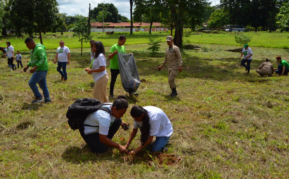 Siembran más de 150 árboles policromáticos en la entrada de la Unellez