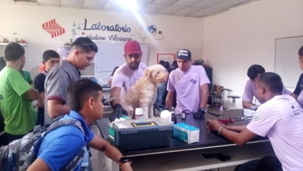 Jornada Integral de Salud y Bienestar para Mascotas se desarrolló en el VPDR 