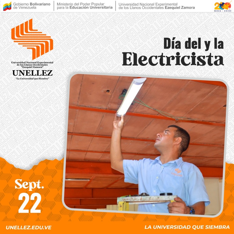 Día del y la Electricista